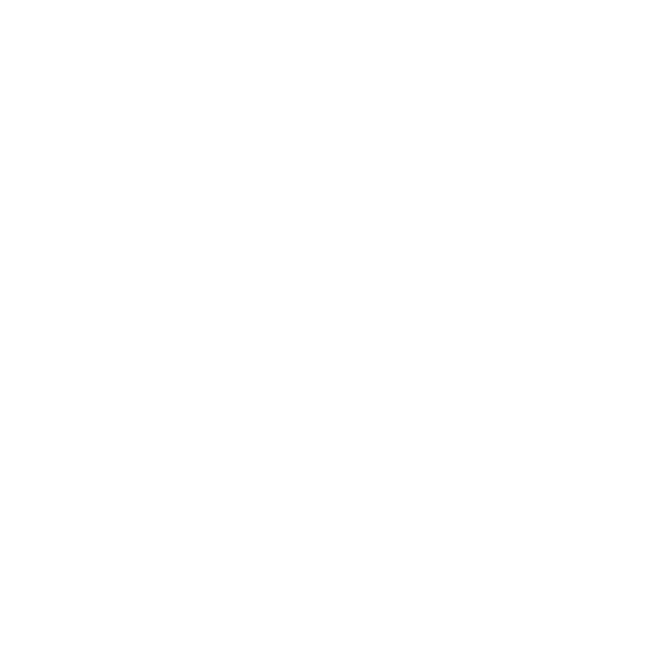 Hollbras Logo Celebrating 30 years - white
